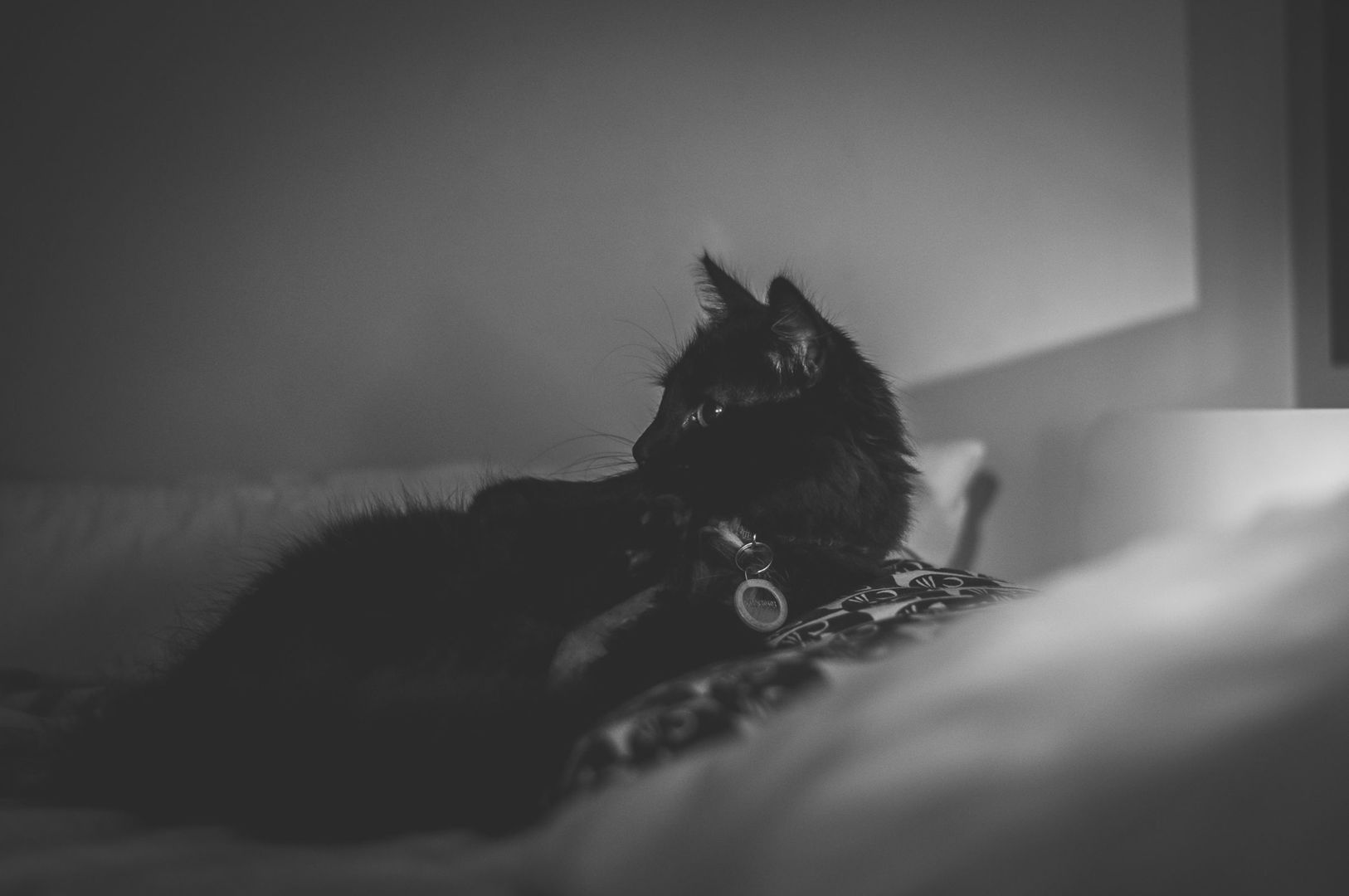 _DSC0205