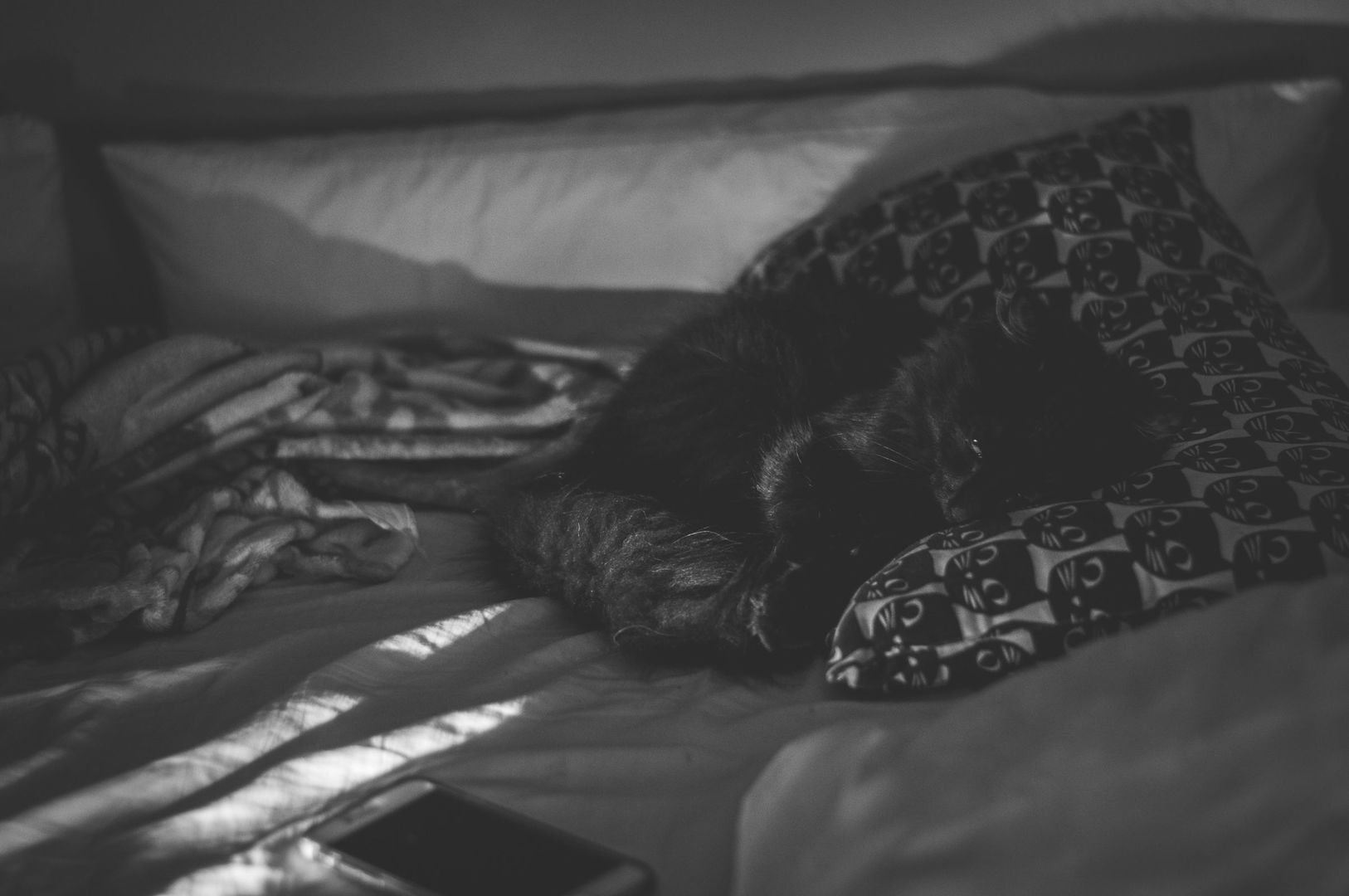 _DSC0211