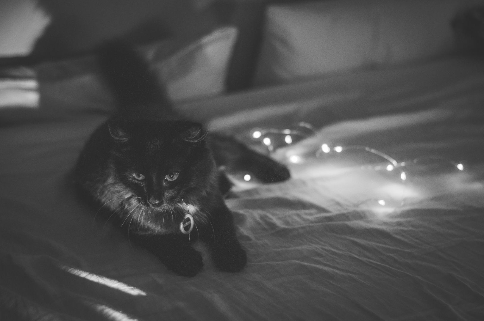_DSC0330