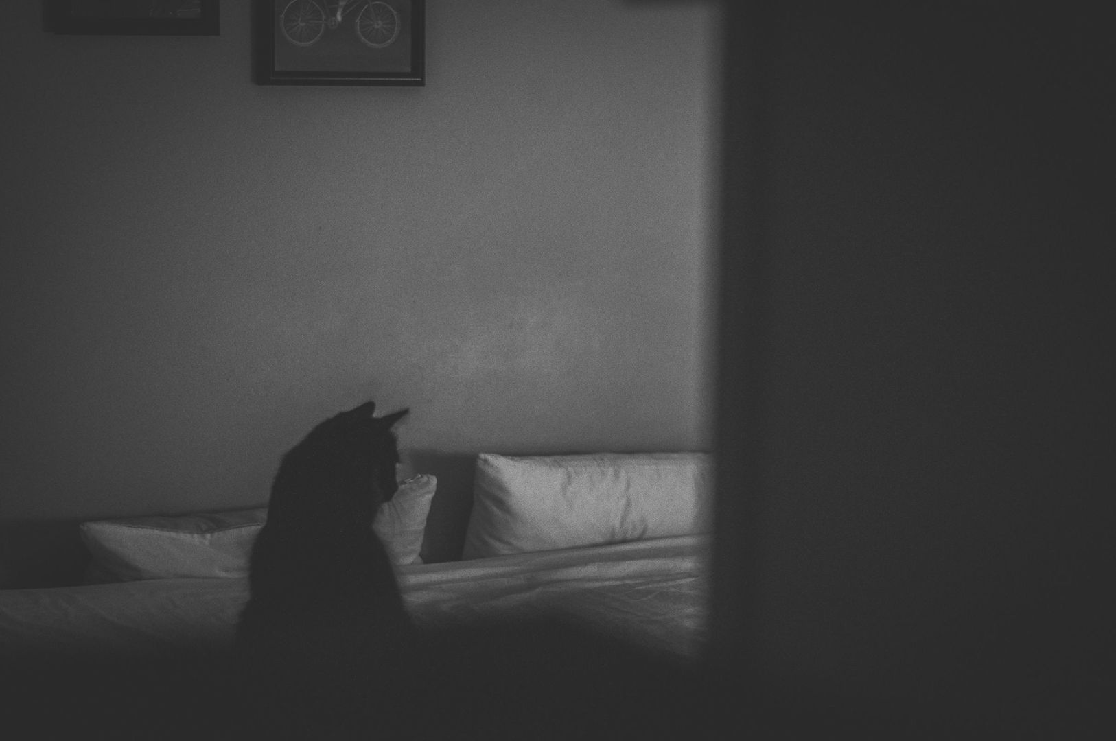 _DSC0347