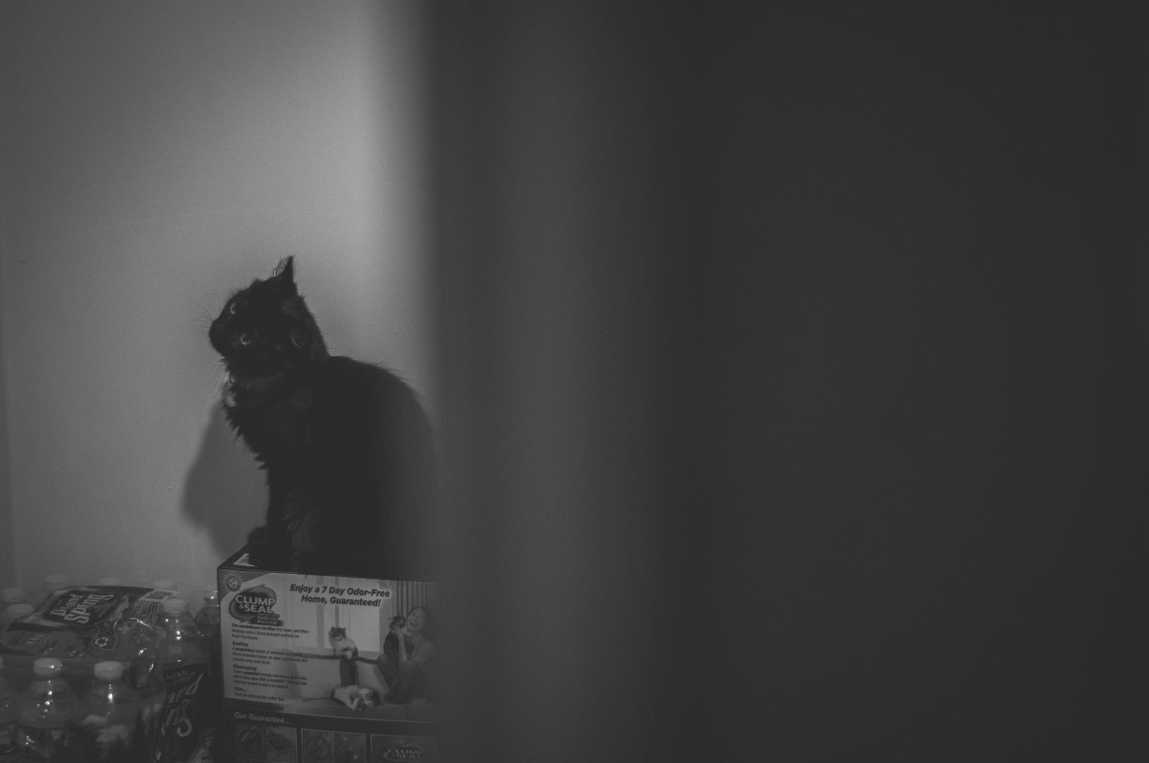 _DSC0408