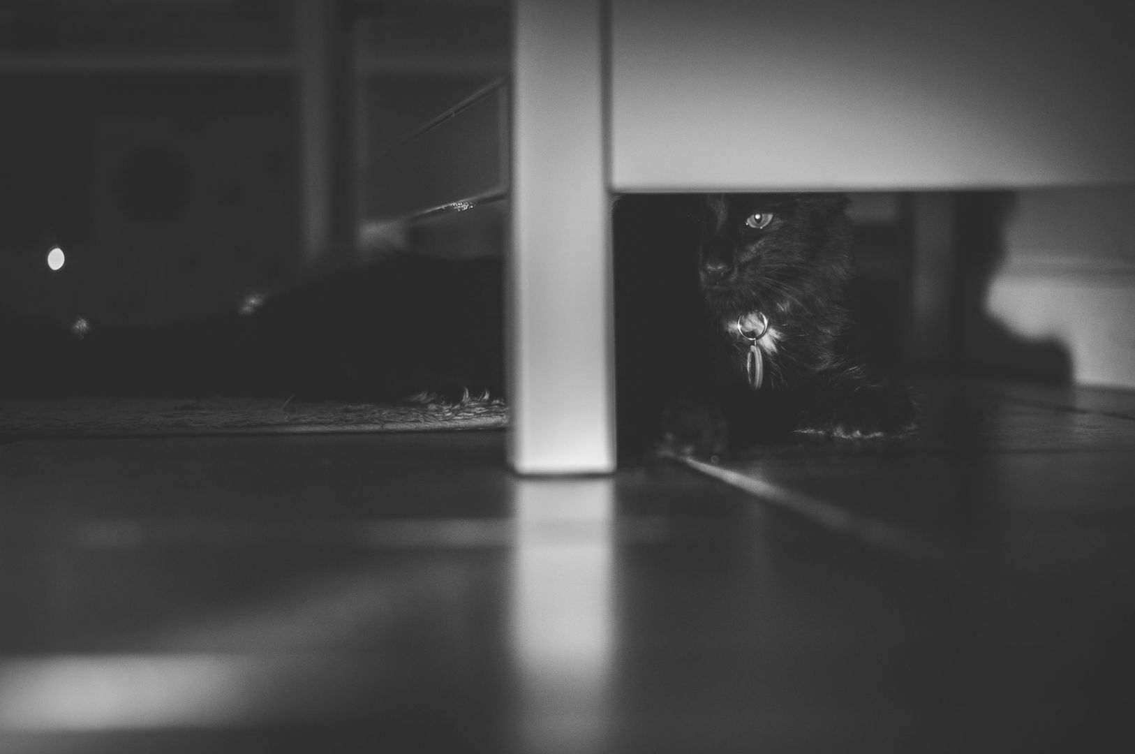 _DSC0472